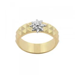 Anillo Aiora Plata Dorada Eguzkilore Plata