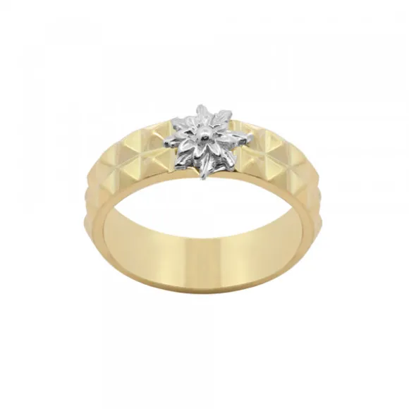 Anillo Aiora Plata Dorada Eguzkilore Plata