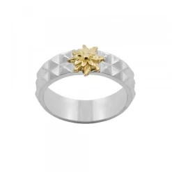 Anillo Aiora Plata Eguzkilore Dorado