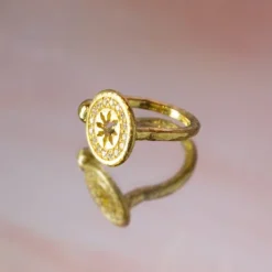 Anillo B1 Plata Dorada y Circonitas Blancas