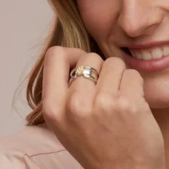 Anillo Bayona Plata y Eguzkilore Dorado