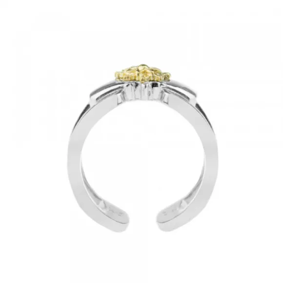 Anillo Bayona Plata y Eguzkilore Dorado