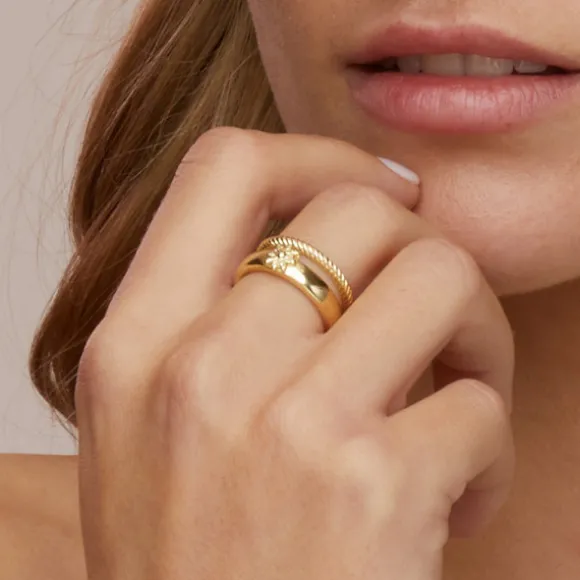 Anillo Biarritz de Plata Dorada