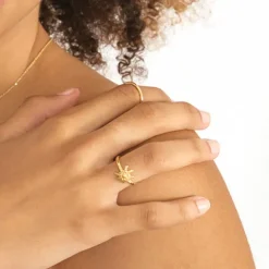 Anillo Eguzkilore Clásico Oro Talla 12