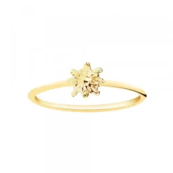 Anillo Eguzkilore Fino Oro 18kt.