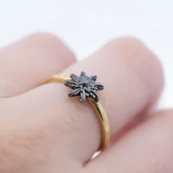 Anillo Ghor Plata Dorada y Eguzkilore Rutenio