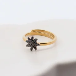 Anillo Ghor Plata Dorada y Eguzkilore Rutenio