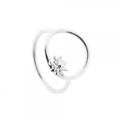 Anillo Luna Llena Plata para Mujer