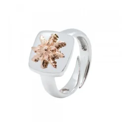 Anillo Q2 Plata y Eguzkilore Rosa