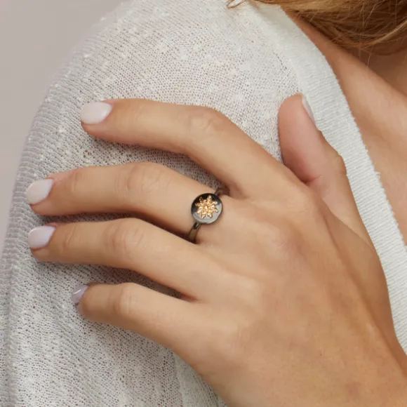 Anillo R-Chic Eguzkilore Plata Dorada