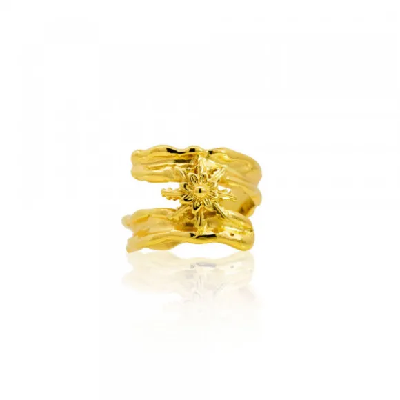 Anillo Ur de Plata Dorada