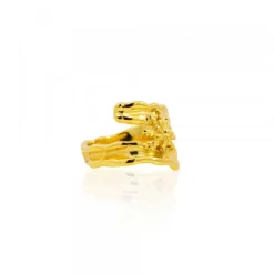 Anillo Ur de Plata Dorada