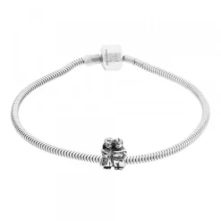 Charm Hermanos de Plata