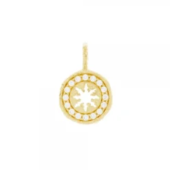 Colgante B1 Plata Dorada y Circonitas