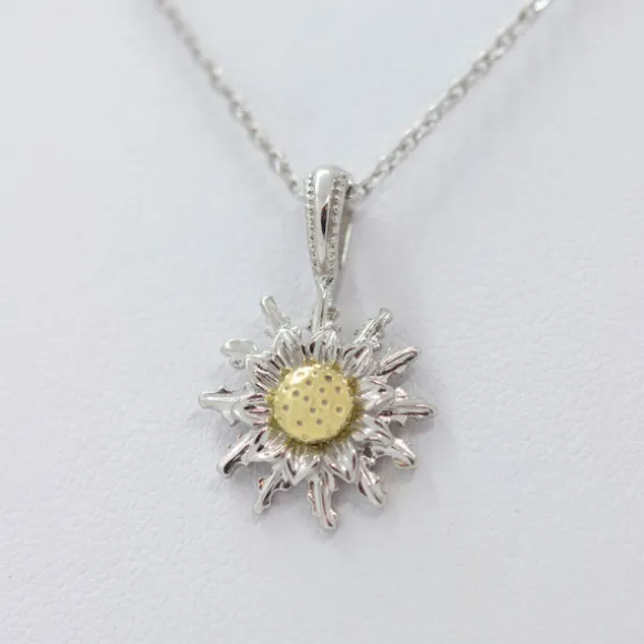 Colgante Eguzkilore Plata Bicolor 14mm