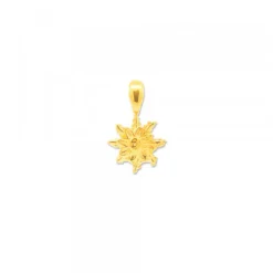 Colgante Eguzkilore Plata Dorada 9mm