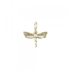Colgante Libélula de Plata Dorada