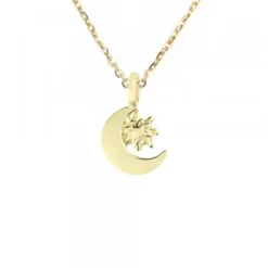 Colgante Luna y Eguzkilore Plata Dorada