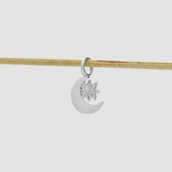 Colgante Luna y Eguzkilore Plata