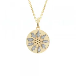 Colgante Medalla Eguzkilore Plata Dorada 13mm