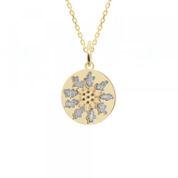 Colgante Medalla Eguzkilore Plata Dorada 13mm