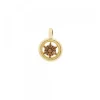 Colgante Redondo de Plata Dorada con Circonitas