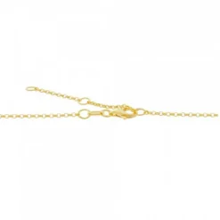 Collar Ama de Plata Dorada