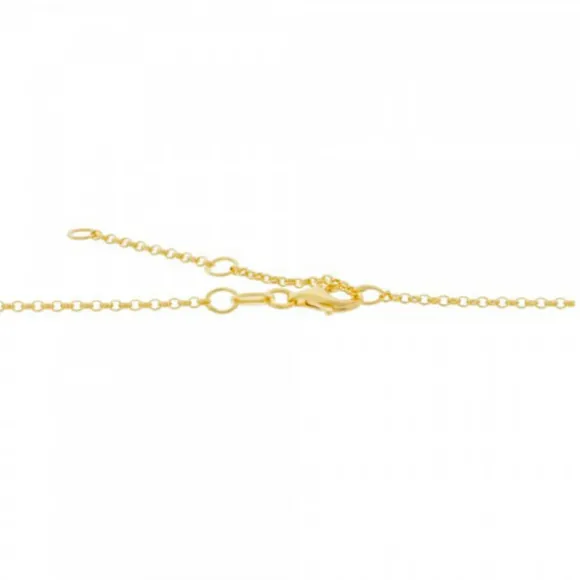 Collar Ama de Plata Dorada