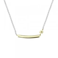 Gargantilla Identidad Plata Dorada Personalizable