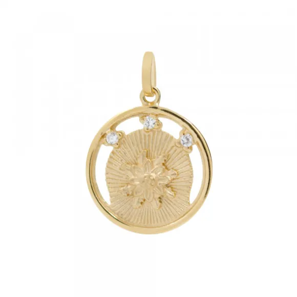 Medalla Eguzkilore Plata Dorada y Circonitas 20mm