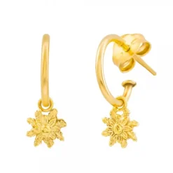 Pendientes Aro Eguzkilore Plata Dorada 20mm