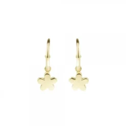 Pendientes Aro Flor de Plata Dorada