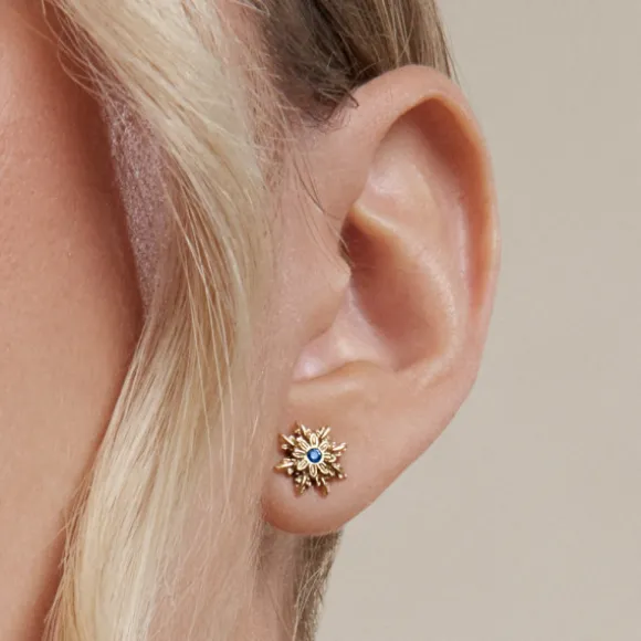 Pendientes Basic Colors Plata Dorada y Circonita Azul