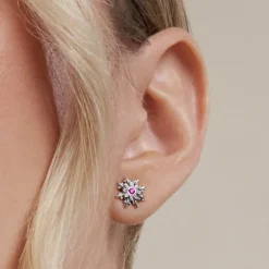 Pendientes Basic Colors Plata y Amatista