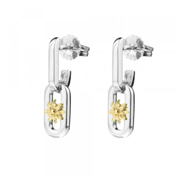 Pendientes Bayona Largos Plata