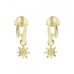 Pendientes Biarritz Plata Dorada