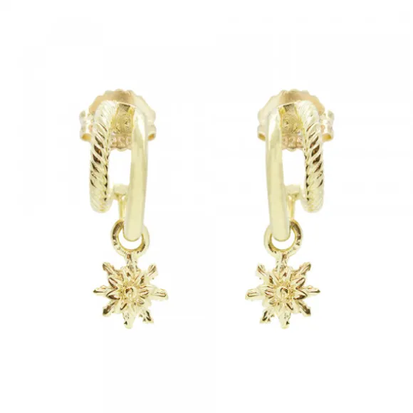 Pendientes Biarritz Plata Dorada