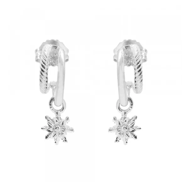 Pendientes Biarritz Plata