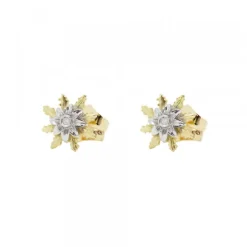 Pendientes Eguzkilore Oro Bicolor y Brillante 9mm