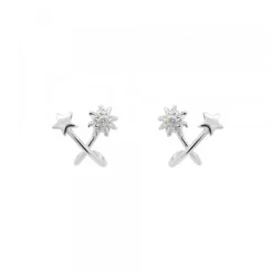 Pendientes Izarra Plata