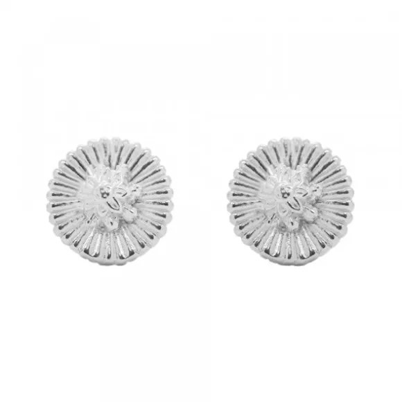 Pendientes Radial Plata