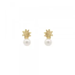 Pendientes Tú y Yo Plata Dorada y Perla 5mm