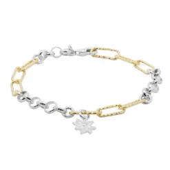 Pulsera Eslabones de Plata Bicolor y Eguzkilore Plata