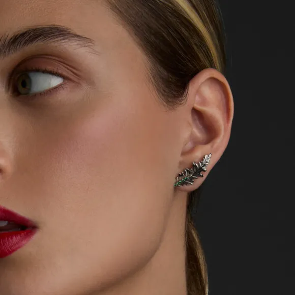 Trepador Mari Rutenio y Circonitas Verdes